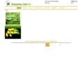 kenterprisse-ci.com