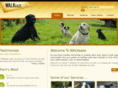 walkeazecarlisle.com
