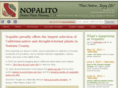 nopalitonursery.com