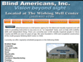 blindamericansinc.com