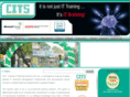 chennaiitsolutions.com