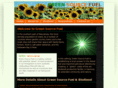 greensourcefuel.com
