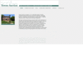 towneauction.com