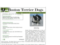 boston-terrier-dogs.com