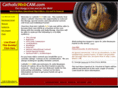 catholicwebcam.com