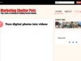 marketingshelterpets.com