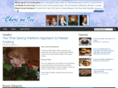 cherionice.com
