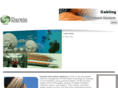 darwininfosys.net
