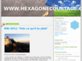 hexagonecourtage.com