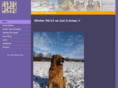 steckkoenig.com