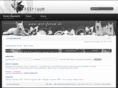 wss-forum.de