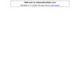 automaticartists.com