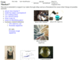 gemmarket.com