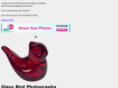 glassbirdphotography.com