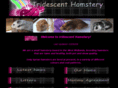 iridescent-hamstery.com