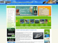 cruiseandtravelvacations.com