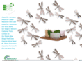 dragonflysoaps.net