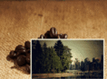 paradisecoffeevancouver.com
