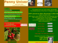 pennyuniversity.net
