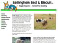 bellinghambedandbiscuit.com