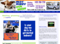 bestbuddydogwash.com