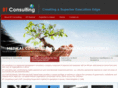 btconsultingke.com