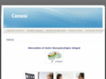 cenesi.com