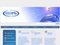 cobal-brasil.com