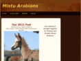 mistuarabians.com