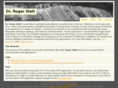 rogerslatt.com