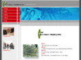 therevenueproducers.com