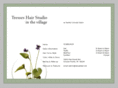tresseshairstudio.com