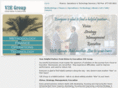 v2egroup.com