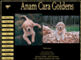 anamcaragoldens.com