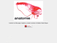 anatomie-music.net