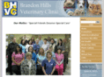 brandonhillsvetclinic.com