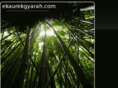 ekaurekgyarah.com