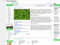 findoutaboutthiamine.com