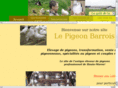 lepigeonbarrois.com