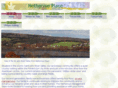 nethervue.com