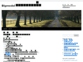 bigmodel.net