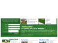 bsfturf.com