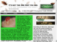control-pest-services.info