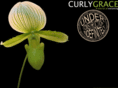 curlygrace.com