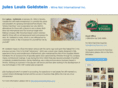 juleslgoldstein.com