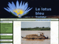 lotus-bleu.eu