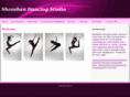 shanshandancingstudio.com