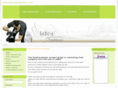 videomarketingonline.com