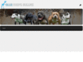 bluerhinobullies.com