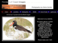 flgulfcoastimages.com